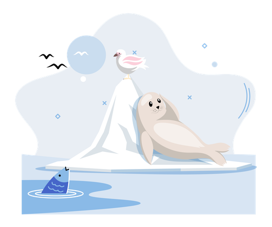 Foca sentada en el hielo  Illustration