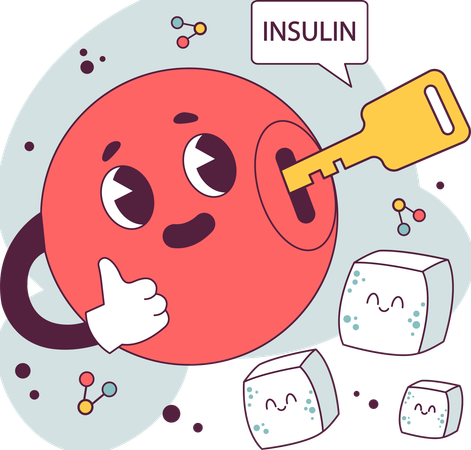 Fonction insulinique et système endocrinien  Illustration