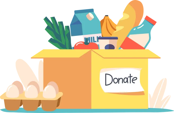 Food Donation box  Illustration