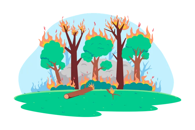 Forest Fire  Illustration