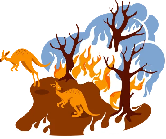 Forest fire  Illustration