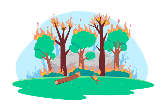 Forest Fire  Illustration