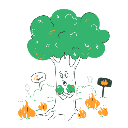 Forest Fires  Illustration