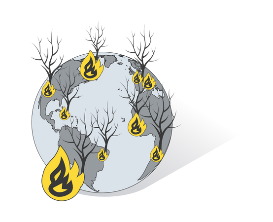 Forest Fires  Illustration