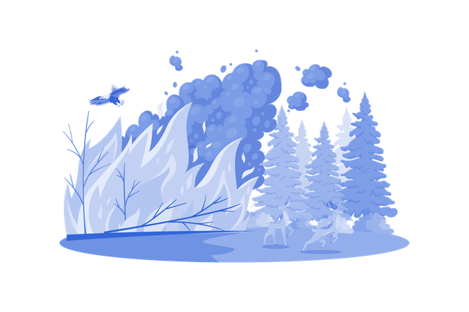 Forest Fires  Illustration