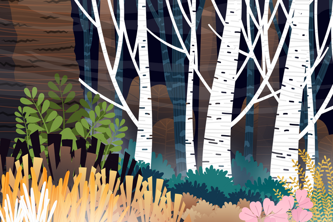 Forest scene Illustration