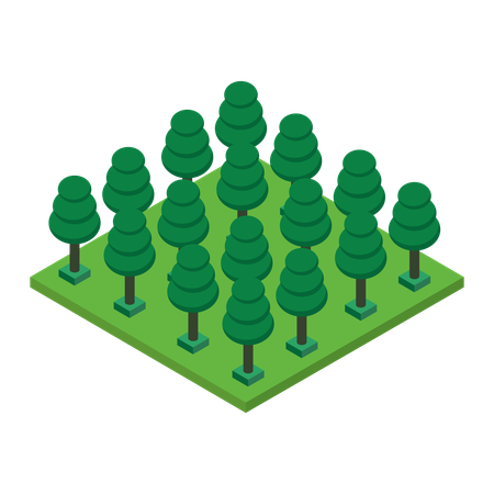 Forest tree  Illustration