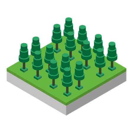 Forest Trees  Illustration