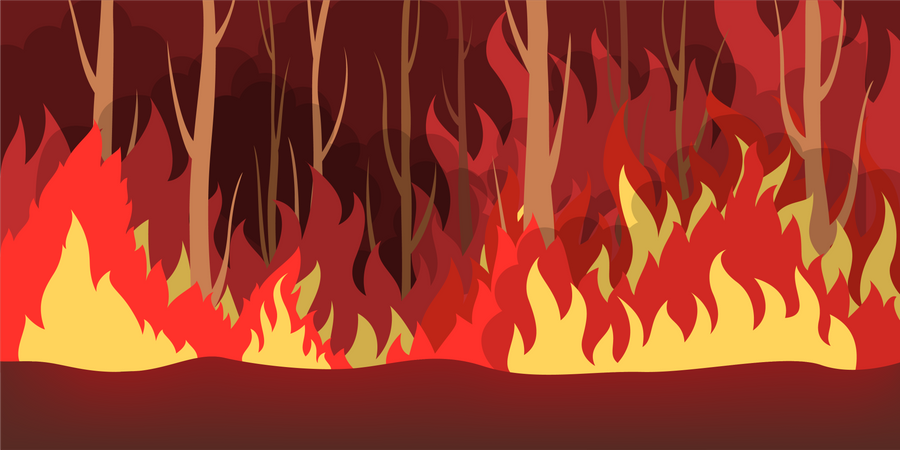 Forest wildfire Illustration