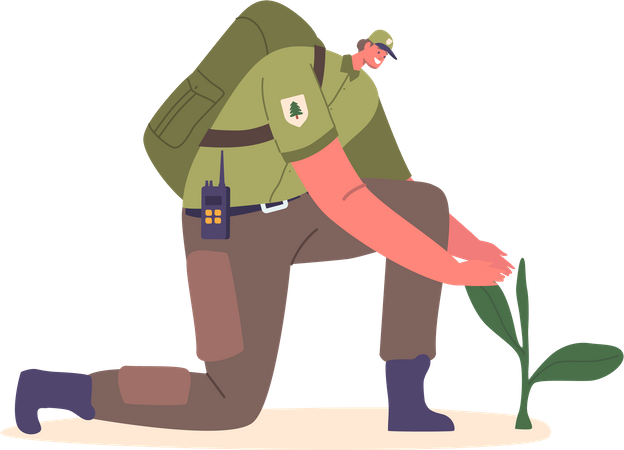 Forester Ranger Caring Trees  Illustration