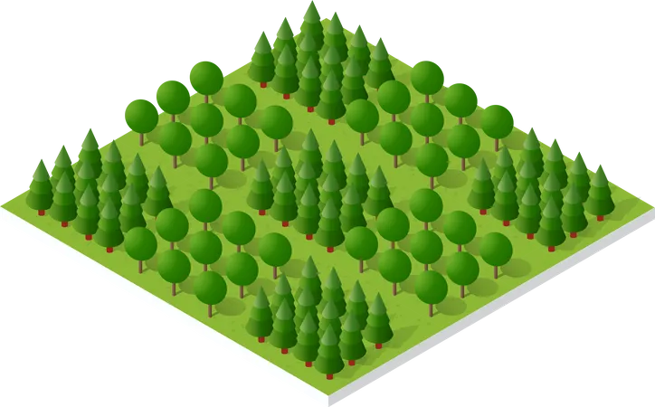 Forêt  Illustration