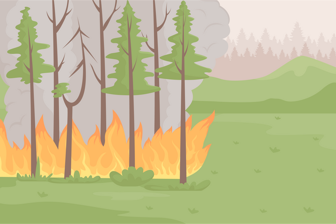 Forêt en feu  Illustration