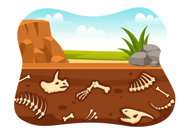 Fossil remains under sand bed Illustration