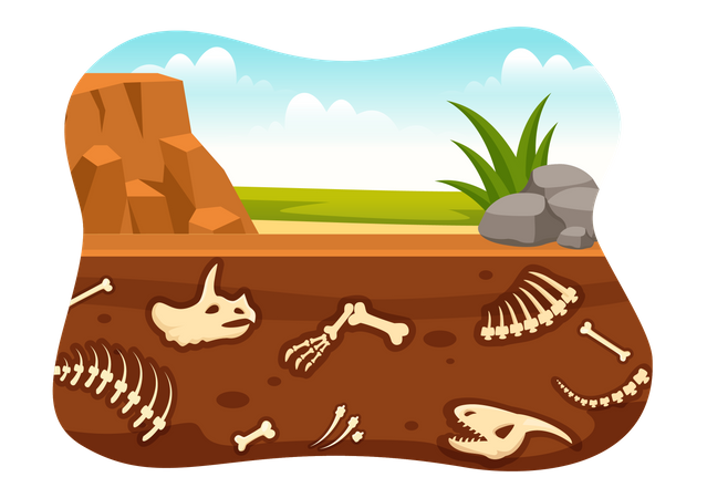 Fossil remains under sand bed  Illustration