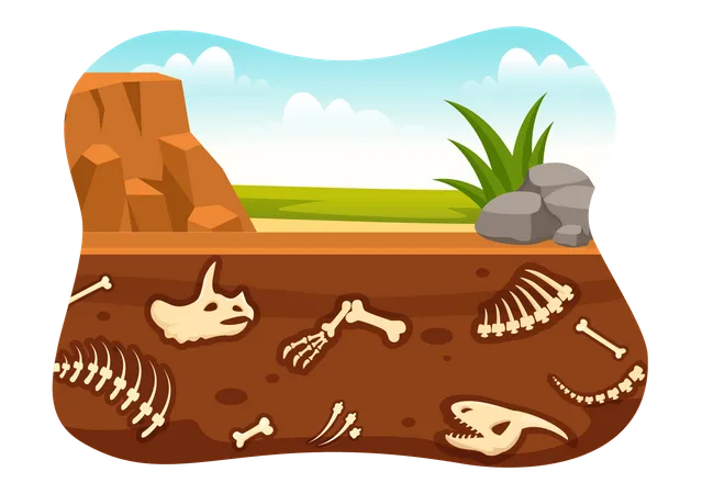 Fossil remains under sand bed  Illustration