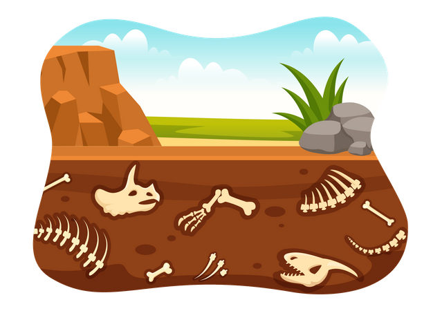 Fossile Überreste unter Sandbett  Illustration