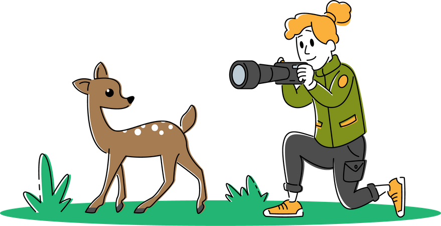 Fotógrafa da vida selvagem clicando na foto de um cervo  Illustration