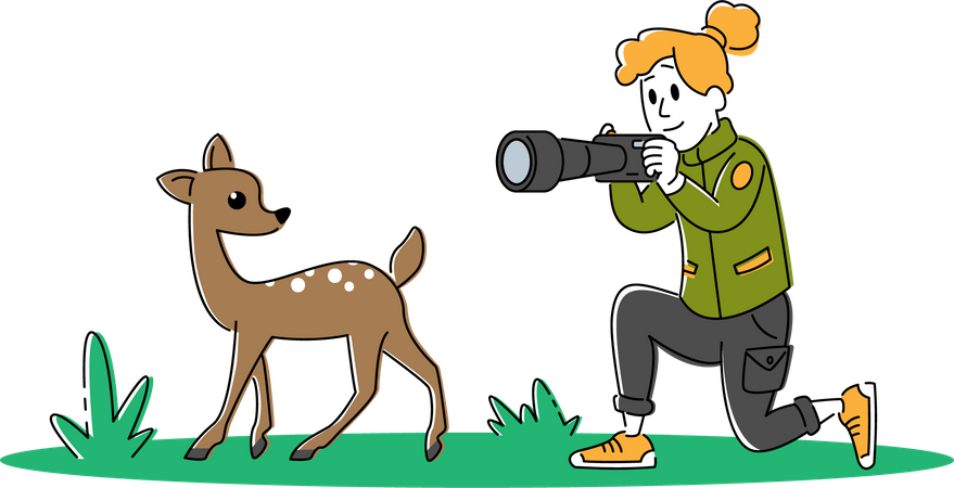 Fotógrafa da vida selvagem clicando na foto de um cervo  Ilustração