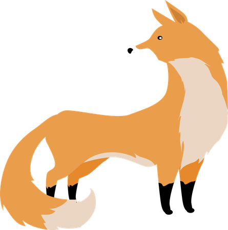 Fox  Illustration