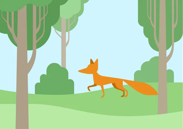 Fox  Illustration