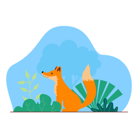 Fox  Illustration