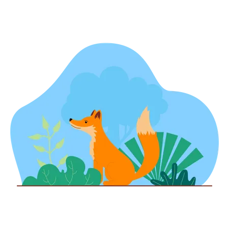 Fox  Illustration