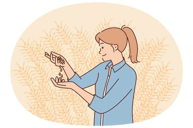 Eine Agronomin untersucht die Körner der Sojabohnenernte auf einer landwirtschaftlichen Plantage  Illustration