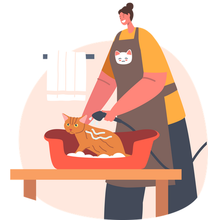Frau badet Katze und bietet Tierpflegeservice an  Illustration
