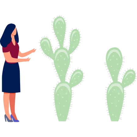 Frau diskutiert Cereus-Pflanze  Illustration