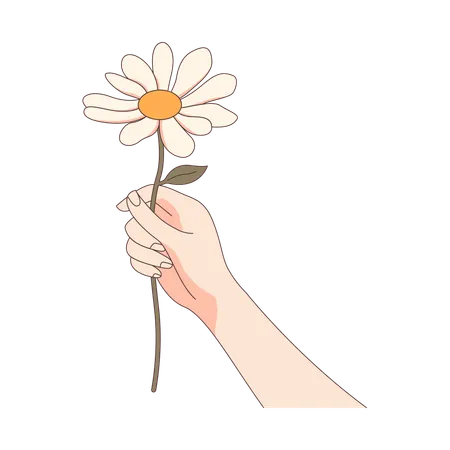 Frau Hand hält schöne Daisy Kamille Blume  Illustration