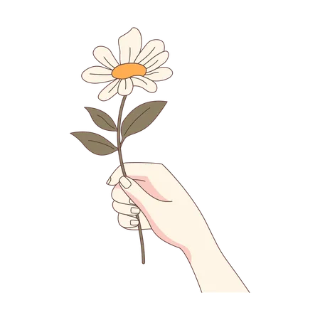 Frau Hand hält schöne Daisy Kamille Blume  Illustration