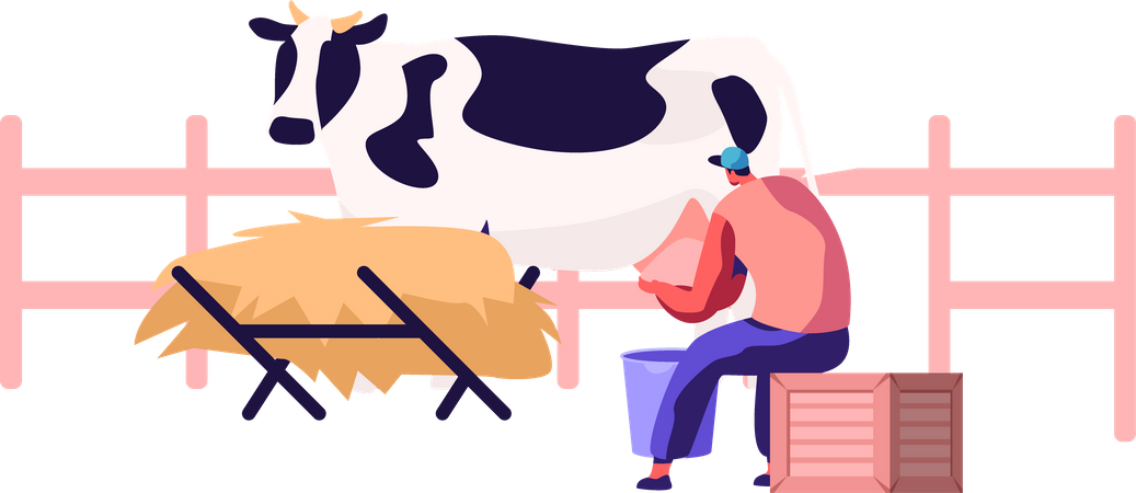 Frau melkt Kuh mit bloßen Händen  Illustration