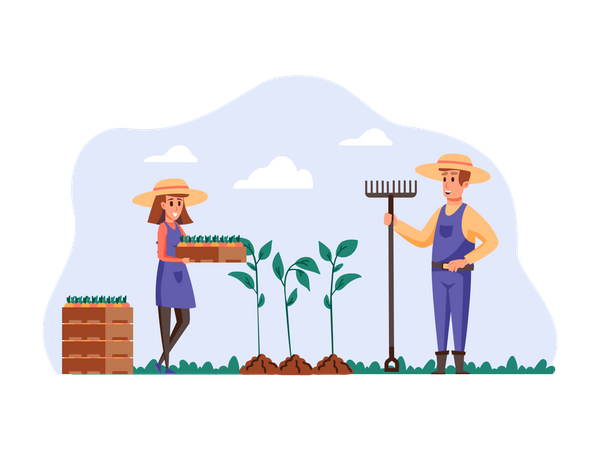 Frau pflanzt mit Hilfe ihres Mannes Getreide an  Illustration
