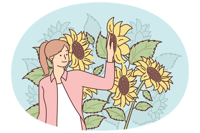 Frau steht auf einem Sonnenblumenfeld und genießt die Natur und die ohne Pestizide angebauten Bio-Pflanzen  Illustration