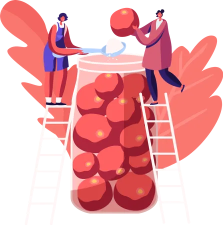 Frauen stehen auf Leitern und geben reife Tomaten und Salz in ein Glas  Illustration