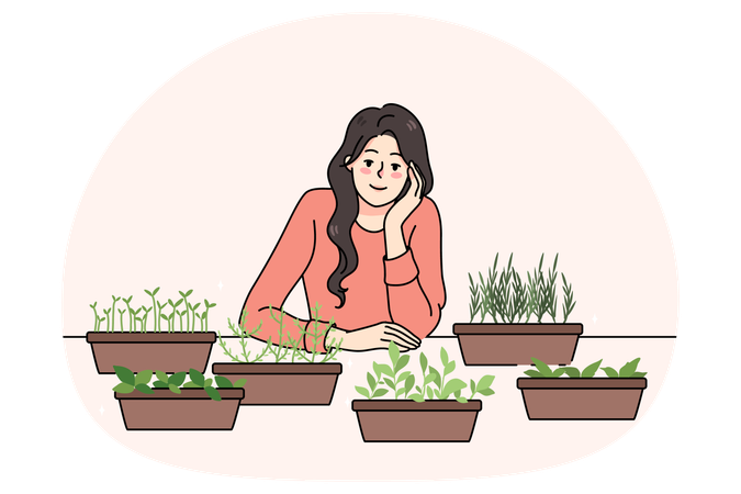 Frau züchtet zu Hause Microgreens und Kräuter in Töpfen  Illustration