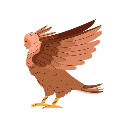 Frauenkopf und Vogelkörper  Illustration