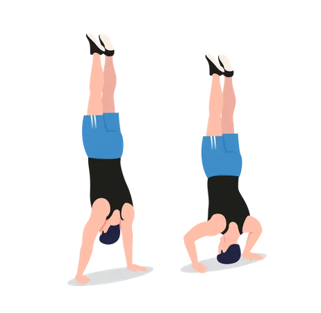 Free handstand pushup  Illustration