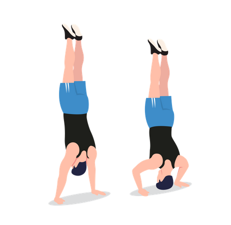 Free handstand pushup  Illustration