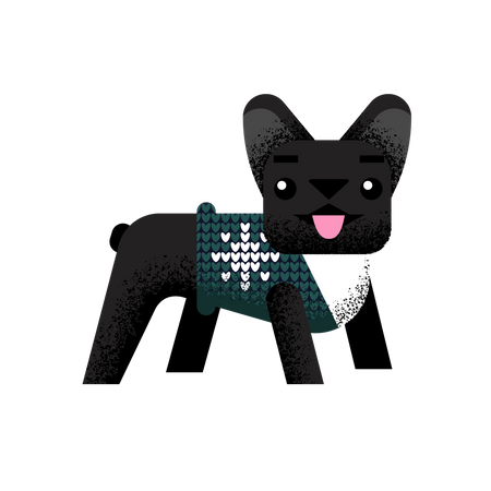 French bulldog in sweater Illustration