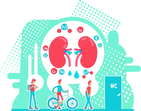 Frequent Urination Flat Concept Vector Illustration Male Internal Organ Health Chronic Kidney Disease 2 D Cartoon Characters For Web Design Problem With Digestive System Creative Idea Illustration