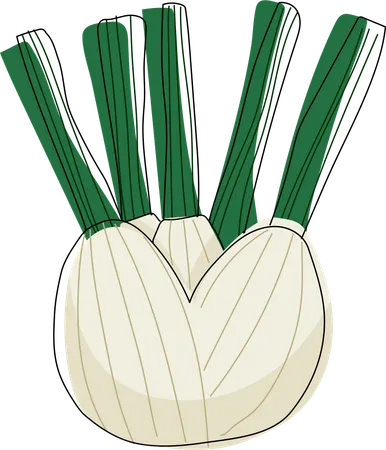 A Fennel Bulb With Green Fronds Rendered In Soft Greens And Whites Highlighting Its Anise Like Flavor And Culinary Versatility Illustration