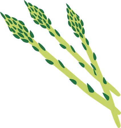 A Trio Of Fresh Asparagus Spears Artistically Rendered With Vibrant Green Hues And Detailed Textures Symbolizing Health And Vitality In A Kitchen Setting Illustration
