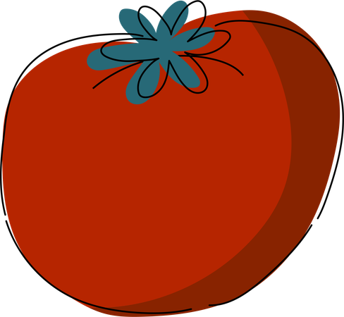 Fresh Tomato Artwork  Illustration