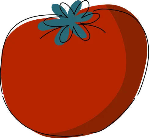 An Eye Catching Illustration Of A Ripe Tomato With A Vibrant Red Color And Detailed Texture Perfect For Any Educational Material On Tomato Cultivation Health Benefits Or Culinary Uses Illustration