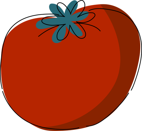 Fresh Tomato Artwork  イラスト