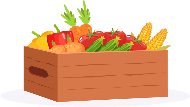 Fresh Vegetable Crate Illustration
