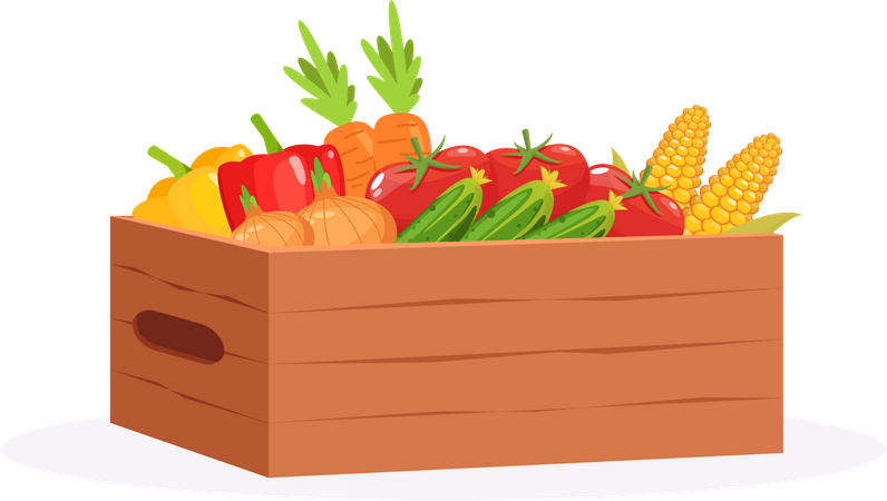 Fresh Vegetable Crate Illustration