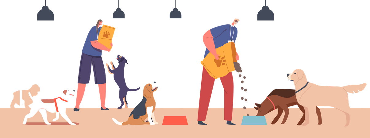 Friendly Volunteers Feeding Dogs in Animal Shelter  イラスト