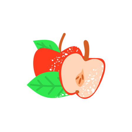 Frisch geschnittener Apfel  Illustration